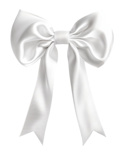 Hair Accessory